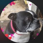 Misti Plummer - @mistiblue7112 - Instagram