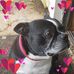 Misti Plummer - Facebook