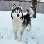 Misty Pratt Harmon - @1978gator - Instagram