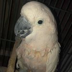 Misty (Pretty Bird) - @mistythebird - Instagram
