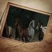 Misty Prichard - Facebook