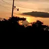 Caballos_vacas 🐎🐄 - @misty.ramos93 - TikTok