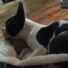 misty_ramos1 - @misty_ramos1 - TikTok