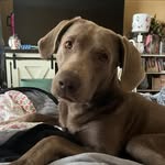 Misty Robinette - @ms.mistymay - Instagram