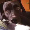 Misty Robson Timberlake - @misty.robson.timb - TikTok