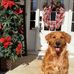 Misty Baker Rutledge - Facebook