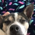 Ashly smith - @misty.sager.104 - Instagram