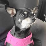 Misty Stamper - @mls.9988 - Instagram