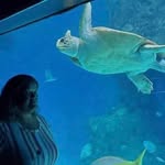 Misty Stephenson-Sinkler - @mistysinkler - Instagram