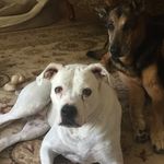 Misty Strain Lomax - @mistystrainlomax13 - Instagram