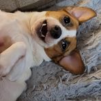 Misty Stoltz - Facebook