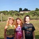 Misty Welch - @welch2291 - Instagram