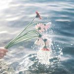 Misty_wing - @mistywing_ - Instagram