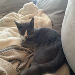 mistywing - @mistywingwarrior - Instagram