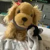 My comfort stuffies❤️🧸 - @_pixie_misty_winter_ - TikTok