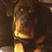 Misty Workman - Facebook