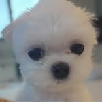 Misun Lee - @misun.lee.6020 - Instagram