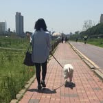 misun lee - @misun1029 - Instagram