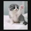틱톡틱 - @misunlee58 - TikTok