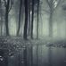 Mita Saha - Facebook