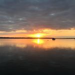 Mitch Alexander Foote - @mitchalexander422 - Instagram