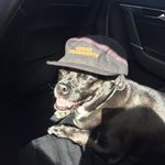 Mitch Atkinson - @mitty.cent - Instagram