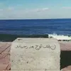 MitchellAtkinson - @mitchellatkinsonztttcx - TikTok