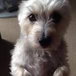 Mitch Barnes - @mitchbarnes4989 - Instagram