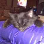 Mitch Beyer - Facebook
