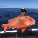 Mitch Beyer - @mitchbeyer - Instagram