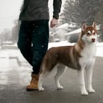 Mitch Beyersdorff - @mitchbeyers - Instagram