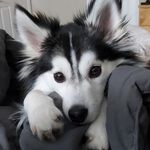 Mitch Boyd - @mitchboyd3 - Instagram