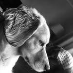 🐕 - @mitchcle.gg - Instagram