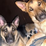 Mitchell Conley - Facebook