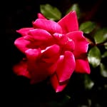 Mitch Dean - @deanartsco - Instagram