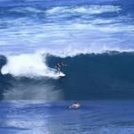 Mitch Fleming - @te_arai_construction - Instagram