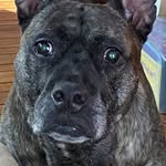 Mitch Friedman - @mutz1367 - Instagram