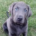 Mitch Fuller - @mfuller119 - Instagram