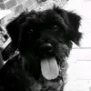 Mitch - @mitchellgraves367 - TikTok