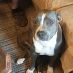 Mitch Kimble - @kimblemitch - Instagram