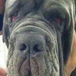 Mitch Grrowler Leslie - @grrrowl13 - Instagram