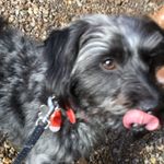 Mitch - @_mitch_mccall_ - Instagram