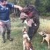 Mitch Mckenzie - Facebook