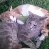 Mitch Meyer - @mitch.meyer0 - TikTok