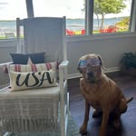 Mitchell Meyer - @mitchmeyer_ - Instagram