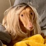 Mitch Moore - @2mitchinformation - Instagram