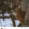 Mitchellmorin - @mitchellmorin168 - TikTok