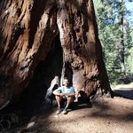 Mitch Reed - @mitchreedwoop - Instagram