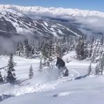 Mitch Reed - @mitchbukka - Instagram