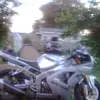 Mitch Reed - @mitch.reed59 - TikTok